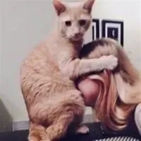 Plover sexual-massage